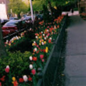 Meet your Posher, Saadia